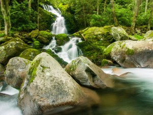 Great Smoky Mountains