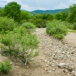 Graveyard Fields Dry Wash