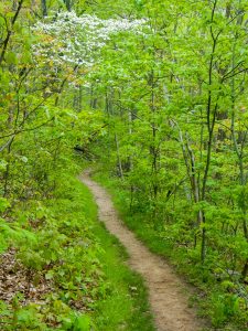 Blue Ridge Parkway: Rattlesnake Lodge