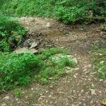 Sidehill Trail Creek Crossing