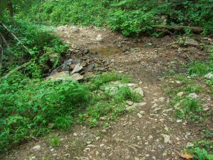 Sidehill Trail Creek Crossing