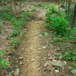 Sidehill Trail Creek Crossing