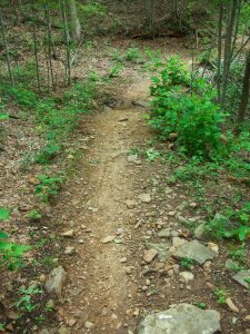 Sidehill Trail Creek Crossing