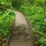 Deer Lake Lodge Trail Bridge