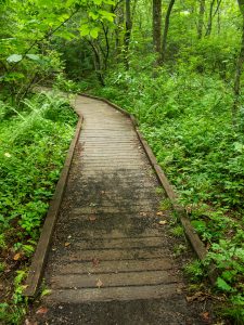 Deer Lake Lodge Trail Bridge