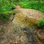 Ledford Trail Creek Crossing