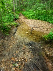 Ledford Trail Creek Crossing