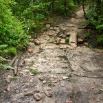 Wolf Branch Creek Crossing