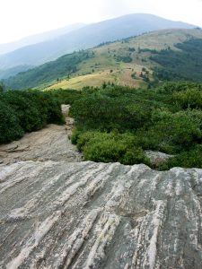 View of Round Bald and Roan Mountain's Summit