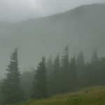 Grass and Fog at Camp Alice