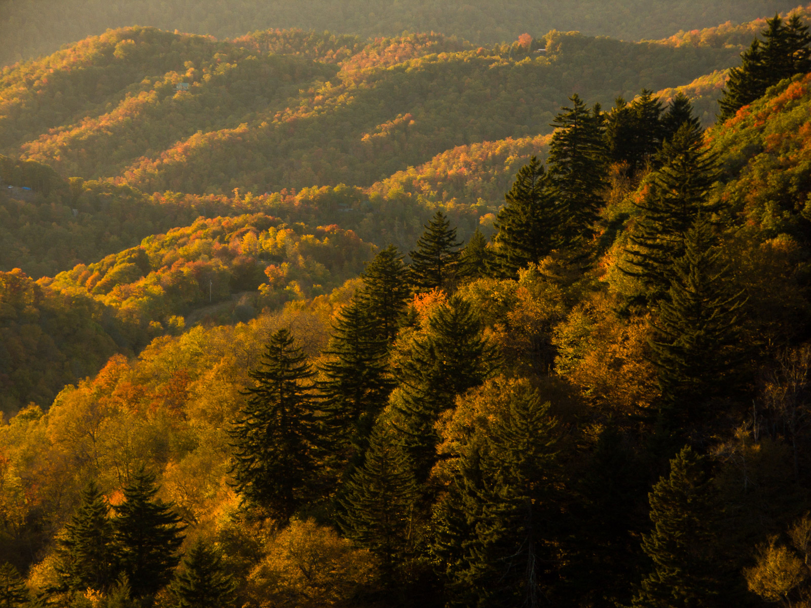 Great Smoky Mountains Золотая осень