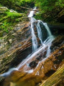 Nantahala National Forest: Southern Nantahala Wilderness