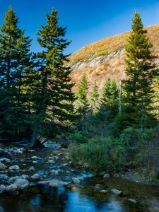 Flat Laurel Creek Below Sam Knob