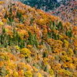 Devil's Courthouse and Fall Color