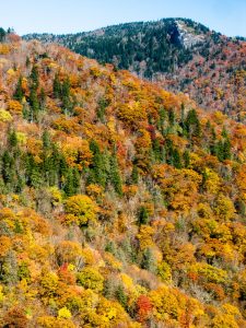 Devil's Courthouse and Fall Color