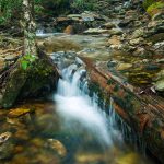 Cascade over Log