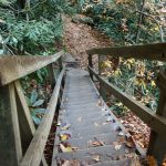 Staircase to Plunge Basin