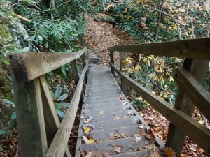 Staircase to Plunge Basin