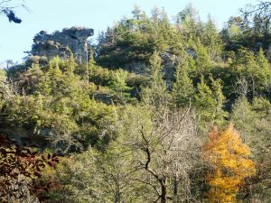 View of Chimneys Overlook from Plunge Basin