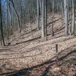 Big Creek Trail Steep Area