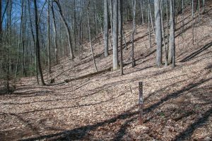 Big Creek Trail Steep Area