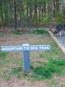 Mountains to Sea Trail Sign at the Blue Ridge Parkway Visitor Center