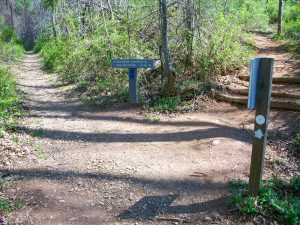 Junction with the Mountains to Sea Trail on the Blue Ridge Parkway Visitor Center Loop