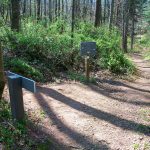 Junction with the Mountains to Sea Trail on the Blue Ridge Parkway Visitor Center Loop