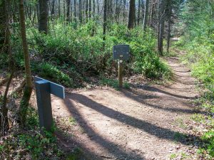 Junction with the Mountains to Sea Trail on the Blue Ridge Parkway Visitor Center Loop