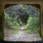 Tunnel on the Visitor Center Loop