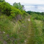 Max Patch Loop Trail