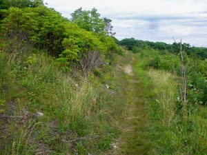 Max Patch Loop Trail