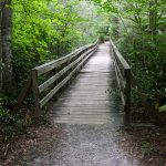 Bridge over Setrock Creek