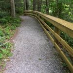 Briar Bottom Trail Rail