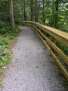 Briar Bottom Trail Rail