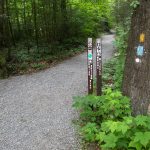 Start of the Mount Mitchell Trail