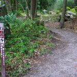 Mount Mitchell Trail Start