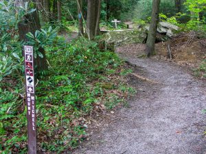 Mount Mitchell Trail Start