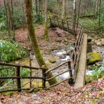 Bridge over Hickey Fork