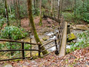 Bridge over Hickey Fork