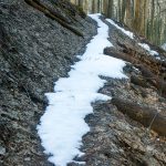 Snow on the Rufus Morgan trail