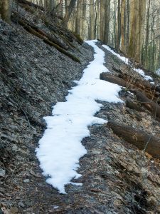 Snow on the Rufus Morgan trail