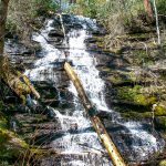 Little Creek Falls