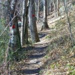 Red Trail in Richmond Hill Park