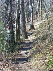 Red Trail in Richmond Hill Park