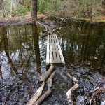 Flooded Pink Beds Trail