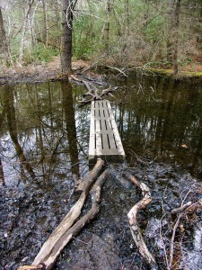 Flooded Pink Beds Trail