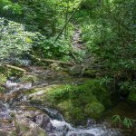 Buckeye Gap Trail Stream Crossing