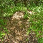 Steep Section of Haywood Gap Trail