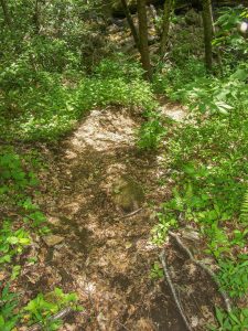Steep Section of Haywood Gap Trail